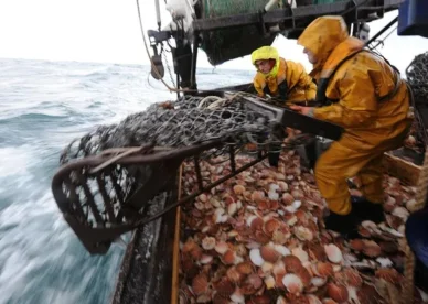 decarboner-la-peche-quelles-pistes